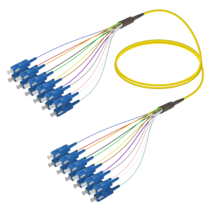 SC/UPC – SC/UPC 12-Fiber Bunch Patch Cord